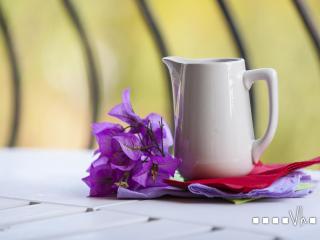 VH CostaBlanca - POLEN - 8