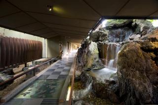 ABBA Resorts Izu - Zagyosoh - 6