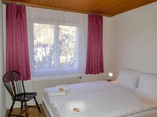 Apartment Chalet Albi-2 by Interhome - 3