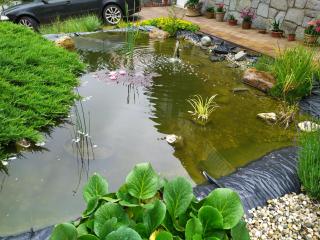 Ubytování Iris - 6