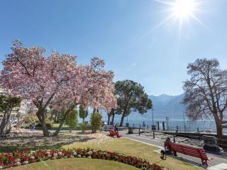Apartment Double Room-1 by Interhome - Ascona - 1