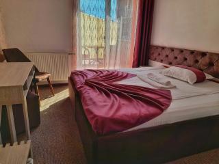 Hotel Alexis - Cluj-Napoca - 9