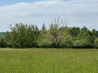 Château de caractère avec piscine au cœur du Périgord vert - 3