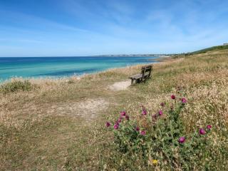 Holiday Home Les Hortensias by Interhome - 4