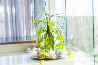 Beira-mar Chalé Maceió - Camocim - 5