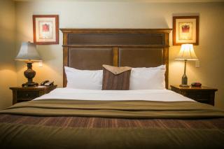 Silverado Lodge with Fireplaces and Pool Views - 5