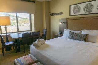 Renovated Studio with All of the Necessities - 7