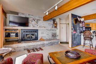Ski-In Ski-Out 2 Br Condo- Sleeps 6 People Condo - 7