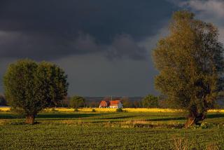 Folwark Żuławski - Elblag - 7