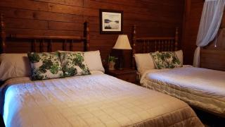 Hacienda el Jibarito - 8