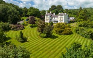 The Falcondale at Lampeter - Lampeter - 0