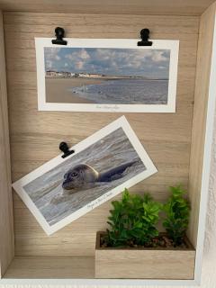 Baie Island à 50 m de la plage… - 3