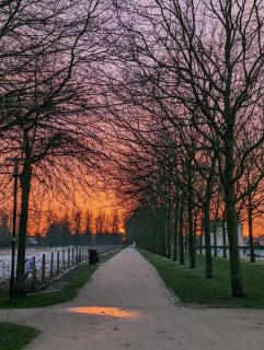 Aux arcades du lac - 2