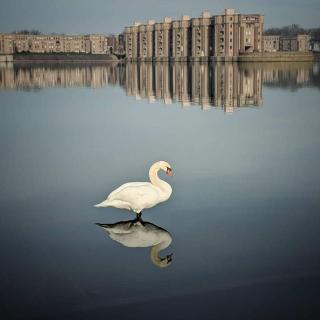 Aux arcades du lac - 1