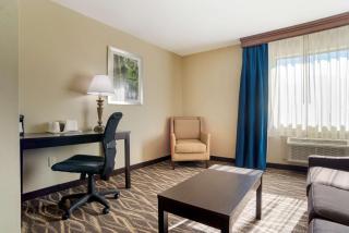 Best Western Ville Platte - 8