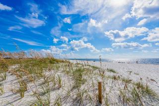 Pretty in Perdido Key - Perdido Key - 8