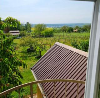 Tóthék Apartman - 1