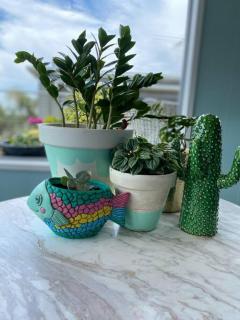 Salty Paws Dog Friendly Luxe Cottage - San Remo - 8