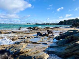 Salty Paws Dog Friendly Luxe Cottage - San Remo - 6