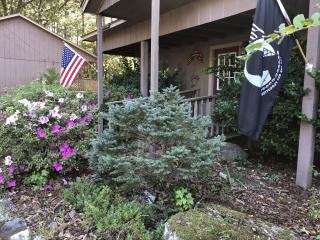 Mountain Harbor Forest View Lodge cottage - Mount Ida - 9