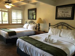 Mountain Harbor Forest View Lodge cottage - Mount Ida - 5