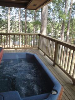 Mountain Harbor Lodge cottage on Lake Ouachita - Mount Ida - 9