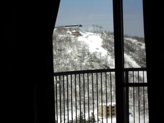 Sugar Top 2001 Condo - Sugar Mountain - 7