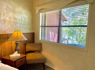 SU1, King Studio with king bed, dining area, sleeper sofa and lake view patio Hotel Room - Mount Ida - 2