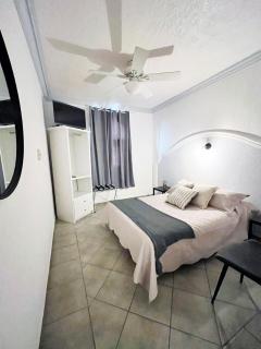 Hotel Plaza San Juan - San Juan de los Lagos - 9