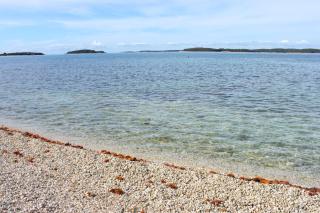 Family friendly house with a swimming pool Valbandon, Fazana - 20772 - Fažana - 5