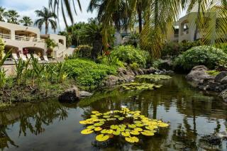Palms at Wailea Two Bedrooms - Garden View by Coldwell Banker Island Vacations - Wailea - 9