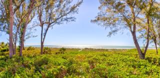 Arcadia-Stunning Gulf Front Beauty! home - Captiva - 7