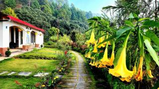Just Naturals Wellness Resort Nainital - Bhowāli - 9