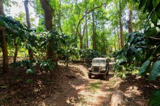 Crystal Homestay by VEO - Part of StayVista - Madikeri - 9
