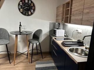 Studio Apartman 4YOU CITY MAX - Osijek - 5