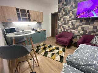 Studio Apartman 4YOU CITY MAX - Osijek - 3