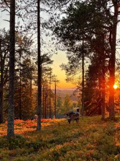 Ruka, Kelokaltiokylä, Mökki 28 - Ruka - 1