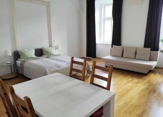 Lovely Modern Historical 1-Bedroom - Vienne - 9