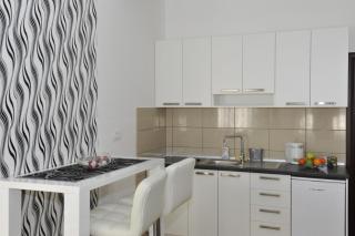 Apartment Jovana Nikšić - Nikšić - 0