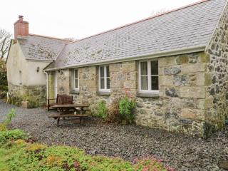 Swallows - Saint Keverne - 0