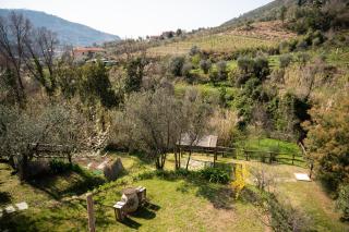 Amandolevanto B&B - Levanto - 3