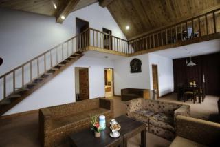 Shivalik kanyal cottage - Manali - 9
