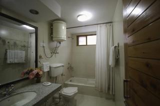 Shivalik kanyal cottage - Manali - 2