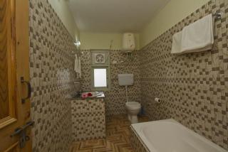 Shivalik kanyal cottage - Manali - 1