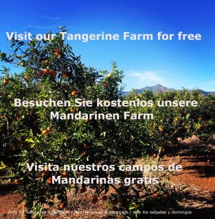 FeWo - Moncofa Apartment - 9