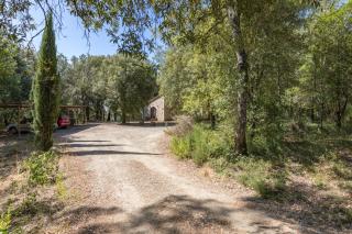 Casina nel Bosco - Santo - 7