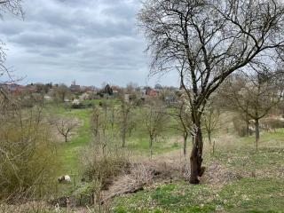 Ca'Triz - Borgloon - 1