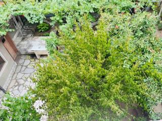 The Park Place - Velingrad - 5