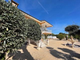 La casa de mamá - Lorca - 3