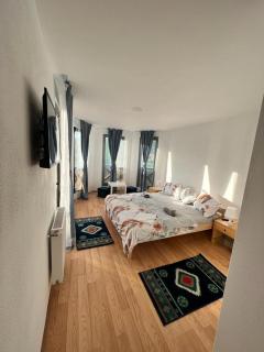 Pensiunea RNB Maramures - Şurdeşti - 6